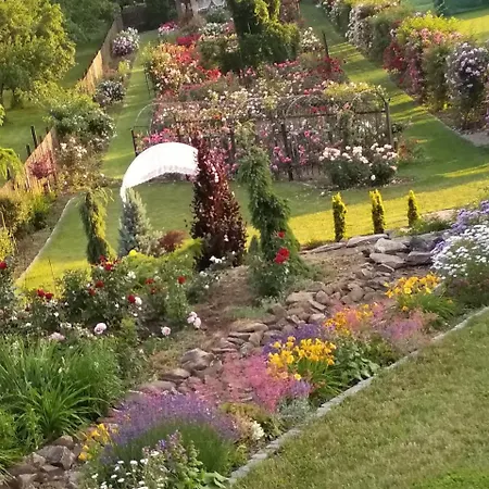 Roseta 4* Radejov