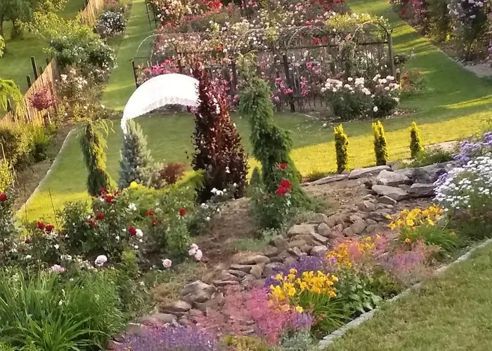 Roseta 4* Radejov